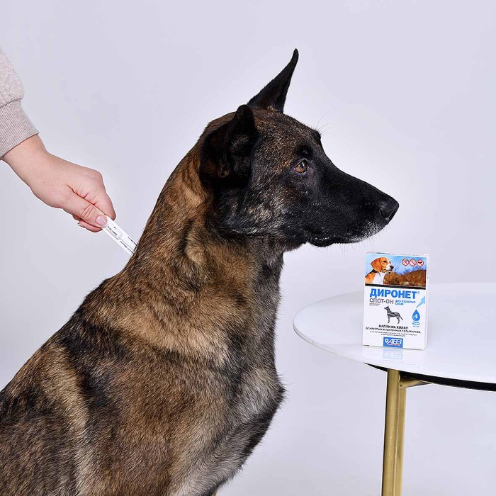 Капли на холку Диронет Спот-он для собак 4 пипетки к/у