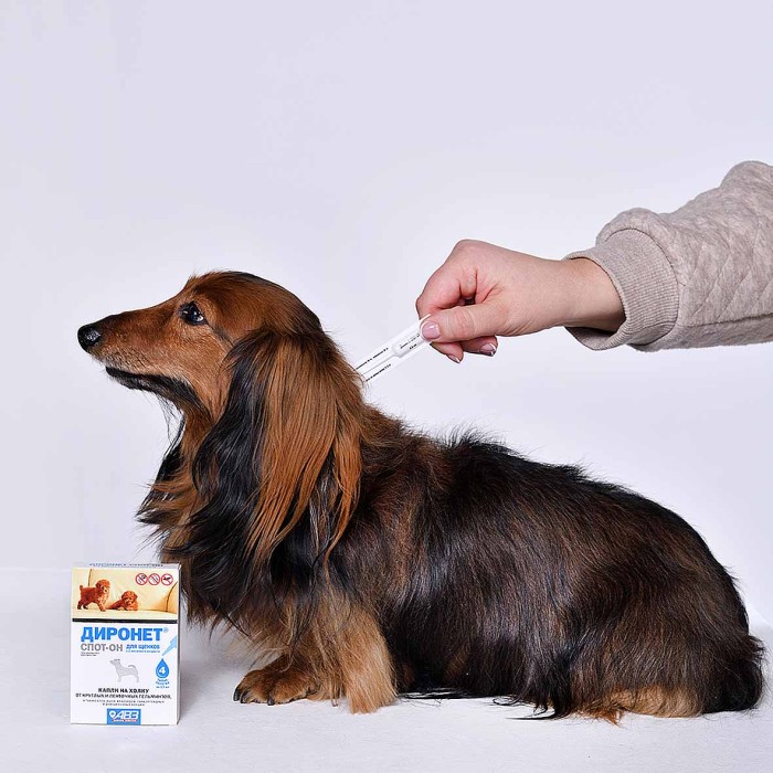 Капли на холку Диронет Спот-он для щенков 4 пипетки к/у