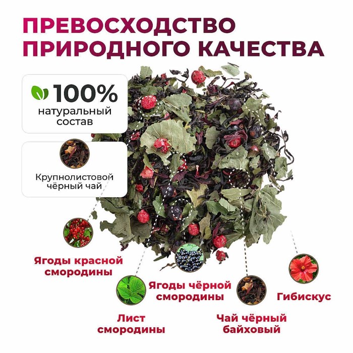 Чай черный Предгорья Белухи байховый Смородиновый бриз 65гр пэт