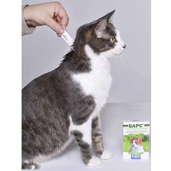 Капли на холку Барс для кошек от блох и клещей 3 пипетки к/у