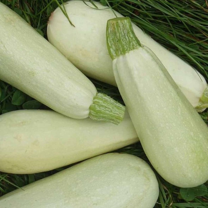 Кабачок Сибирский Агросоюз Белогор F1 10шт м/у