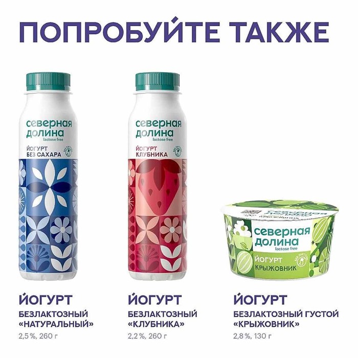 Йогурт питьевой Северная Долина безлактозный черника 2,2% 260гр пэт