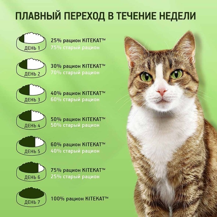 Корм для кошек Kitekat мясной пир 1.3кг м/у