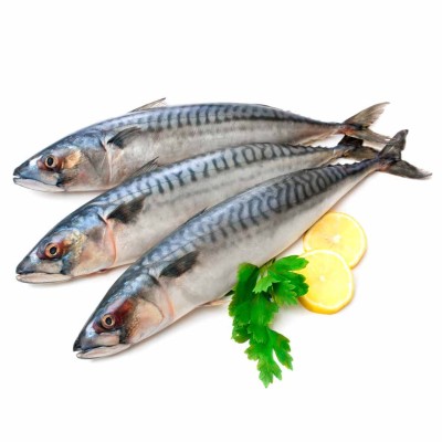 Скумбрия ИП Крылова с/с