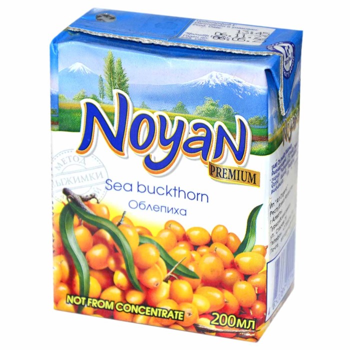 Нектар Noyan облепиховый 0,2л т/п