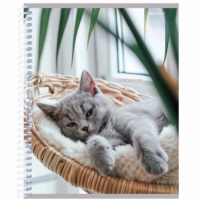 Тетрадь Проф-Пресс Уютные Котики на спирали 48л клет арт48-2342