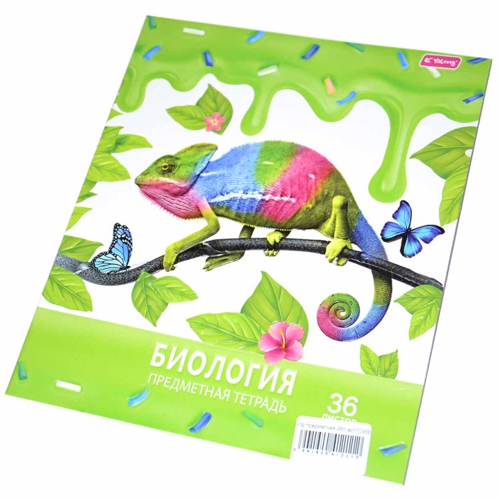 Тетрадь Yalong предметная 36л арт7036Е-195АТ №96