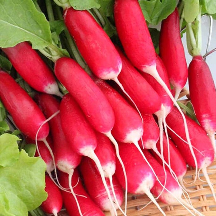 Редис Сибирский Агросоюз 18 дней 2гр цпо м/у