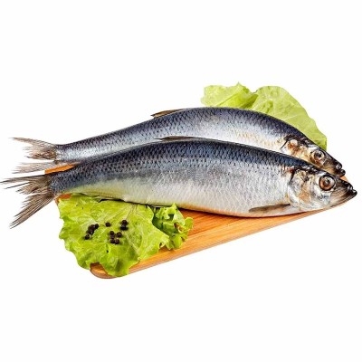 Сельдь Фише атлантическая н/р малосоленая 400+