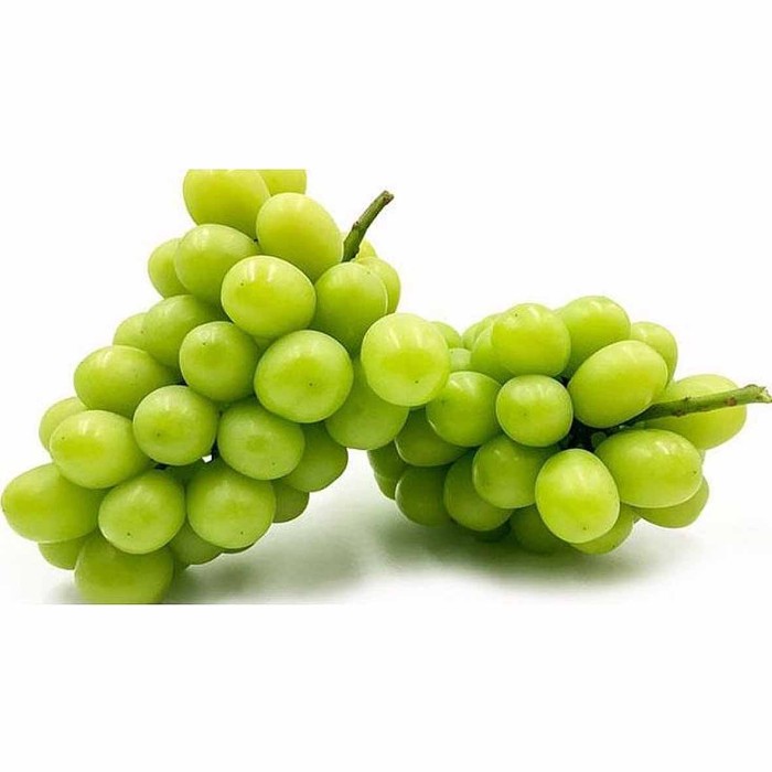 Виноград зеленый Мускат АА