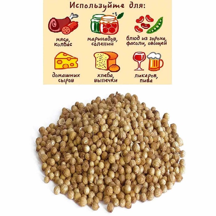 Кориандр Приправыч зерна 15гр м/у