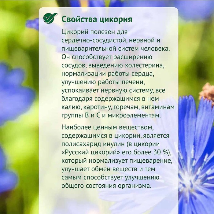 Цикорий Бодрость жидкий 330гр ст/б