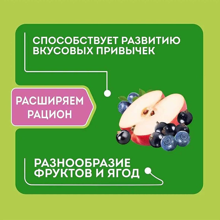 Каша Heinz Лакомая овсяная молочная яблоко-черника-смородина с 5мес 170гр д/п