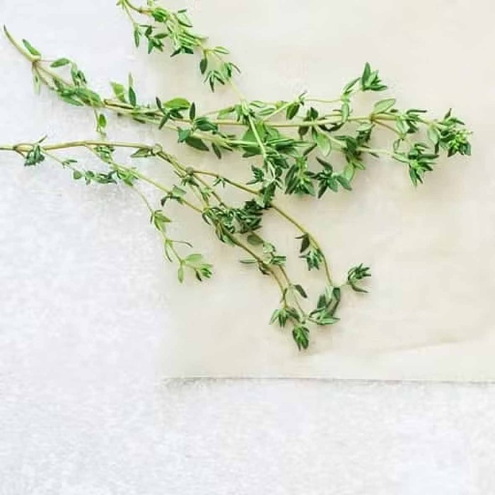 Тимьян Kotanyi (чабрец) измельченный сушеный 15гр м/у