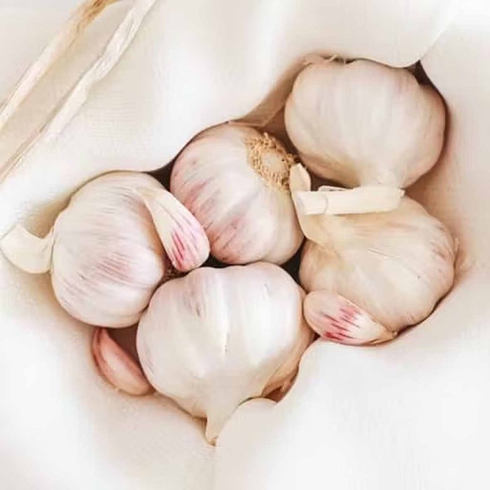 Чеснок Kotanyi измельченный 28гр м/у