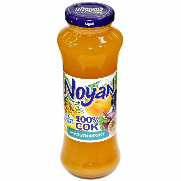 Сок Noyan мультифрукт 0,25л ст/б