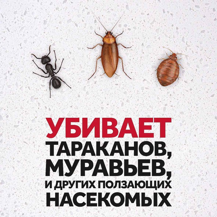 Аэрозоль Raid против тараканов и муравьев 300мл ж/б