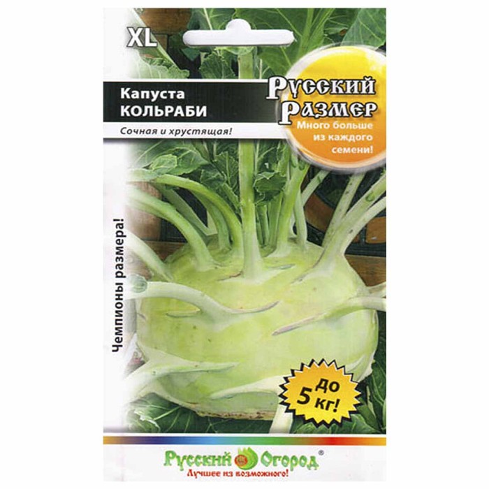 Капуста кольраби Русский размер 50шт м/у