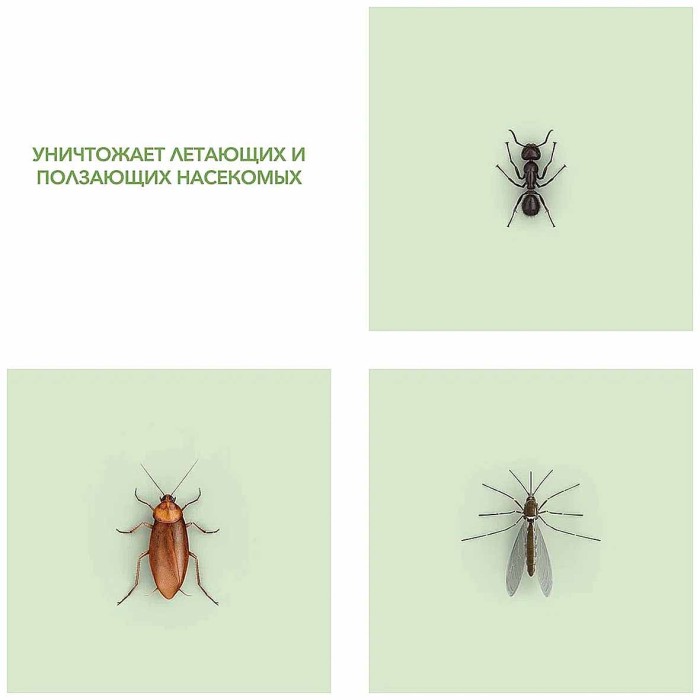 Аэрозоль Raid Botanicals от летающих и ползающих насекомых 300мл ж/б