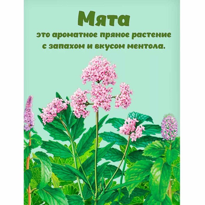 Мята Приправыч перечная 6гр м/у