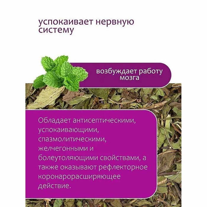 Мята Приправыч перечная 6гр м/у