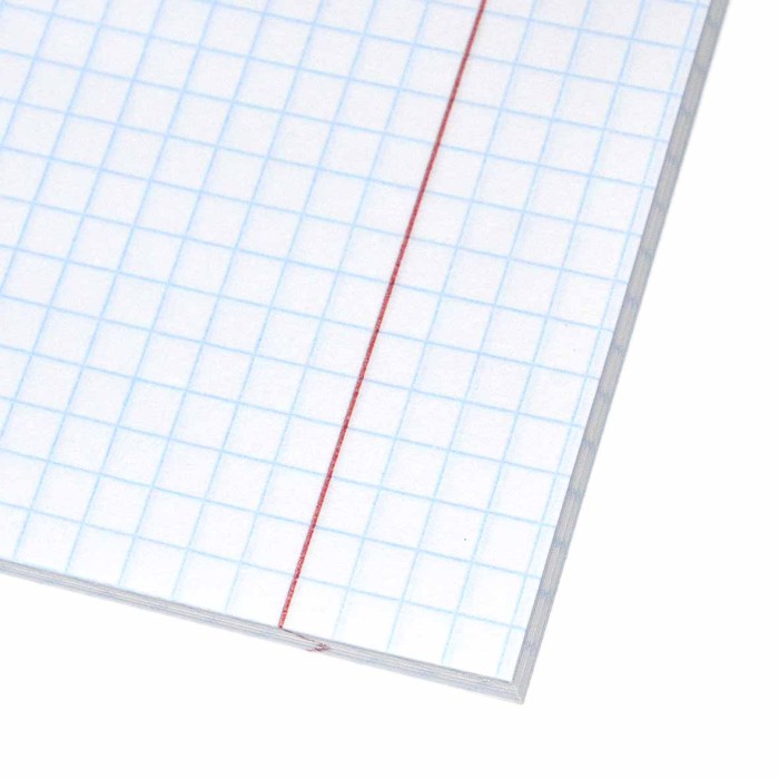 Тетрадь Prof-Press Девушка и Котики A5 48л клет арт48-5133