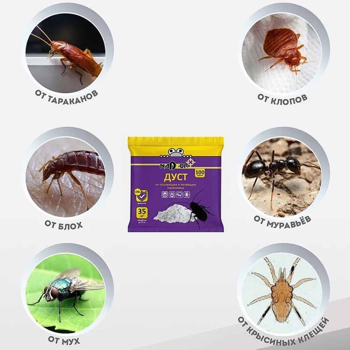 Дуст Nadzor от ползающих насекомых 100гр артDIH002Н