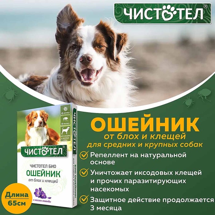 Биоошейник Чистотел для средних и крупных собак с лавандой 40см