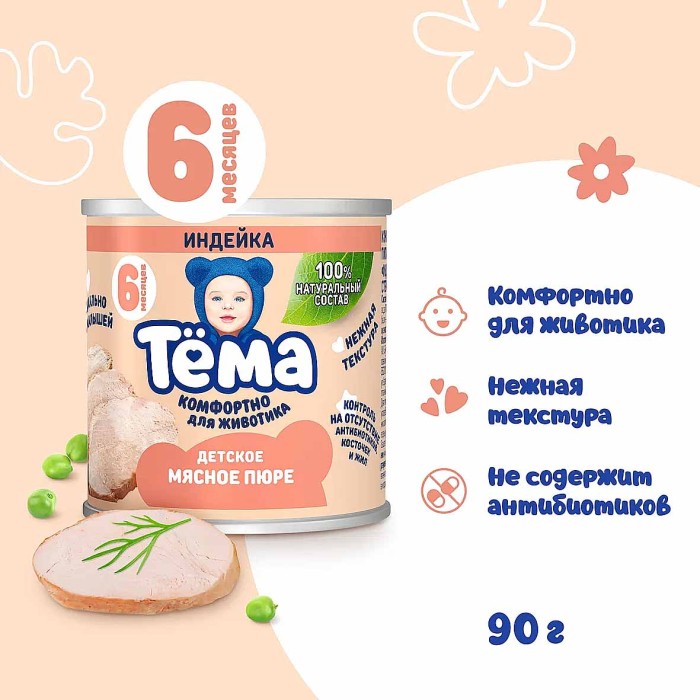 Пюре Тема индейка с 6мес 90гр ж/б