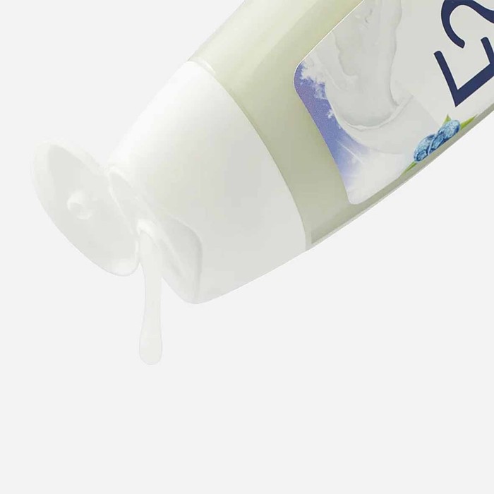 Гель для душа Fa Черничный йогурт 250мл пэт