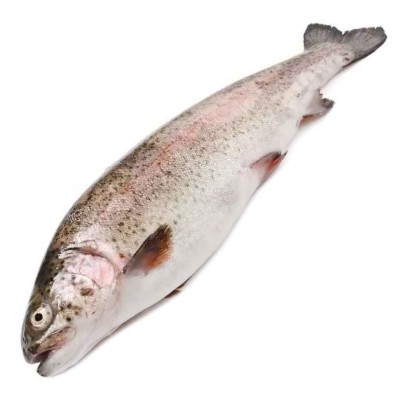 Форель с/г св/м