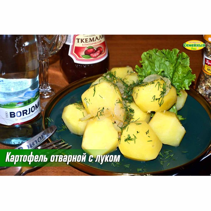 Картофель отварной с луком СП