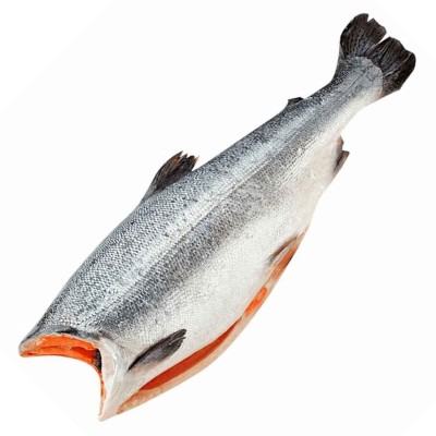 Форель б/г св/м