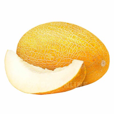 Дыня Торпеда