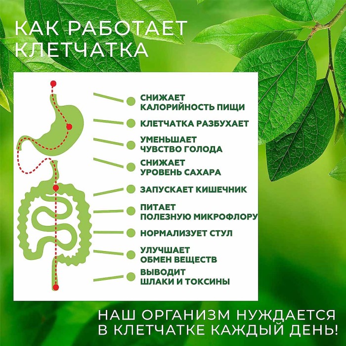 Клетчатка Сибирская Клетчатка Яблоко 280гр пэт