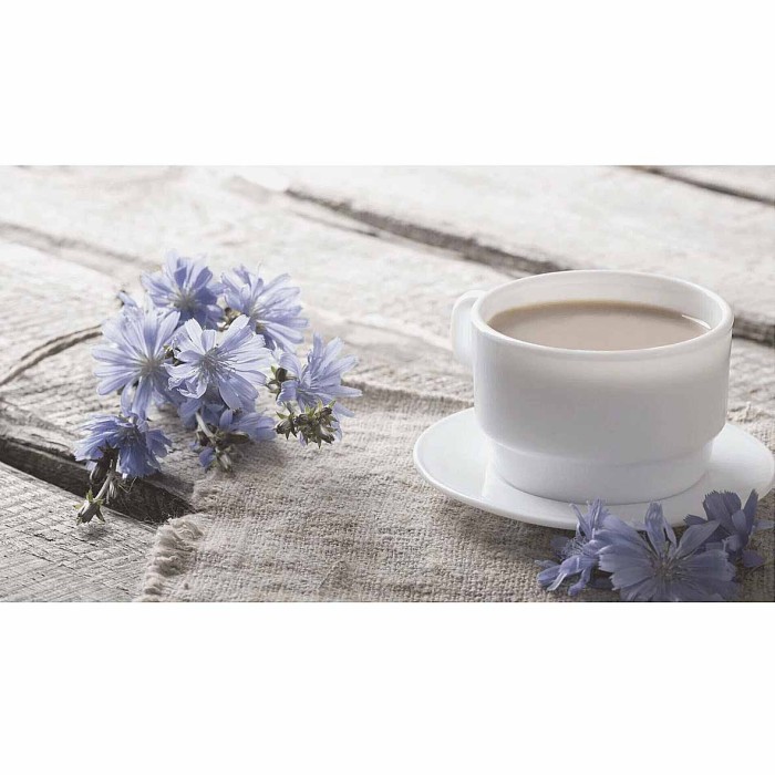 Цикорий Золотой корешок 100гр д/п