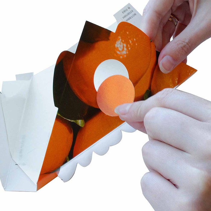 Ловушка клеевая Nadzor Уголок для мух артLFR0GYF