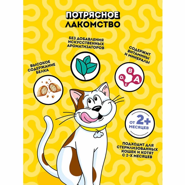 Корм для кошек Dreamies лосось 60гр пауч