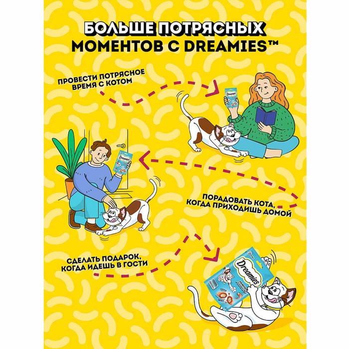 Корм для кошек Dreamies лосось 60гр пауч