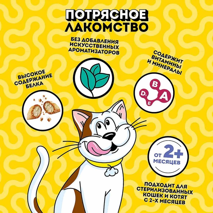 Корм для кошек Dreamies сыр 60гр пауч