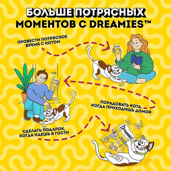 Корм для кошек Dreamies сыр 60гр пауч
