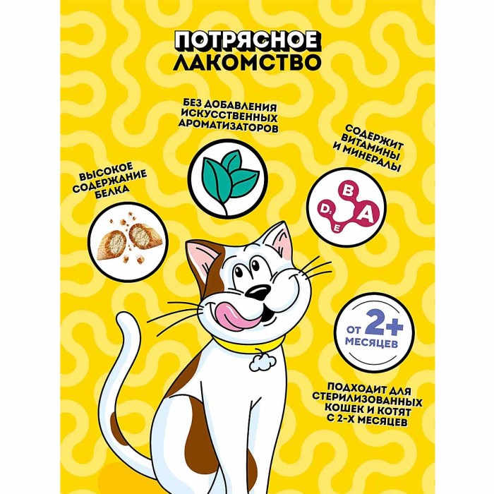 Корм для кошек Dreamies курица 60гр пауч