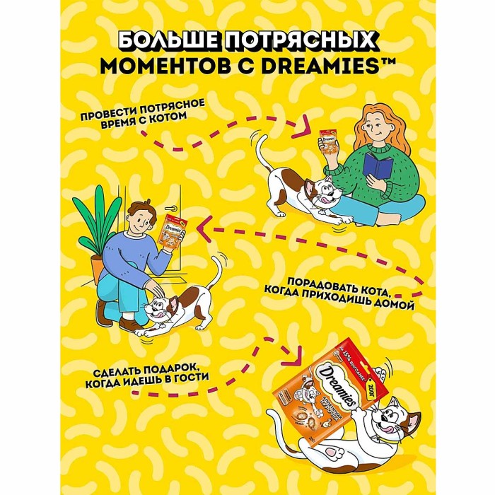 Корм для кошек Dreamies курица 60гр пауч