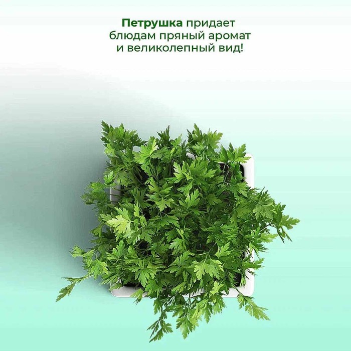 Петрушка Приправыч 30гр д/п