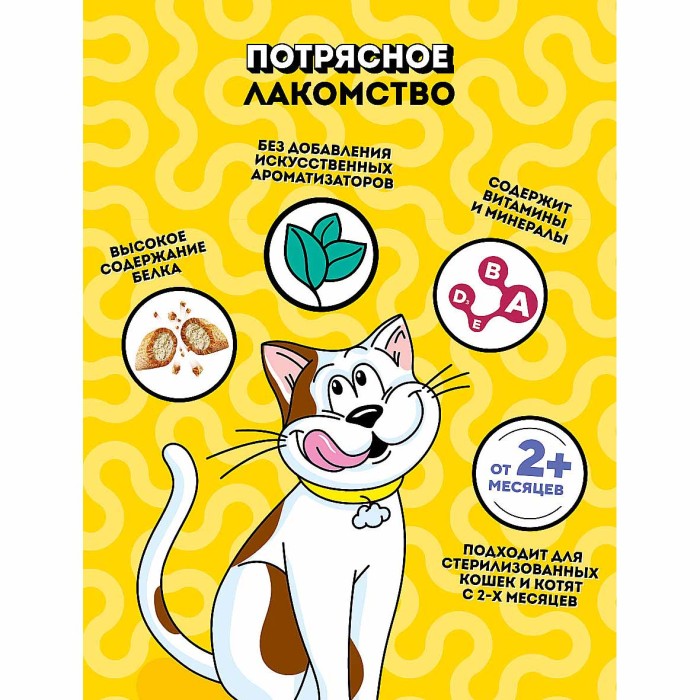 Корм для кошек Dreamies Микс курица-мята 60гр пауч