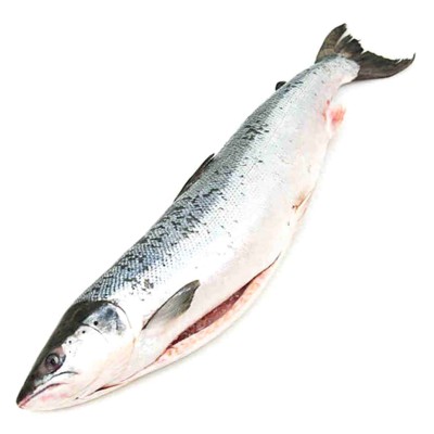 Лосось дальневосточный св/м