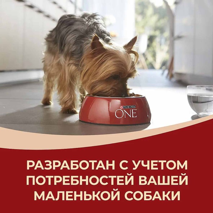 Корм для собак Purina ONE мини говядина,картофель,морковью в подливе 85гр пауч