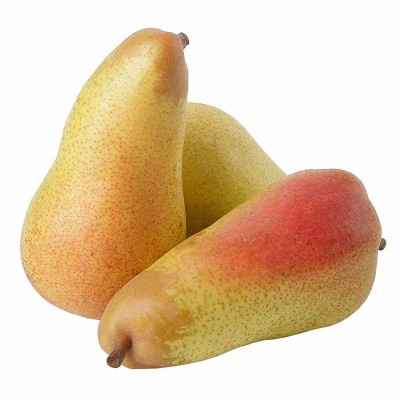 Груша Аббат