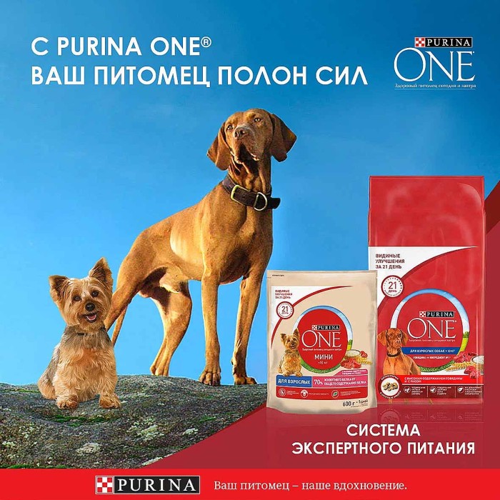 Корм для собак Purina ONE индейка,морковь,горох в подливе 85гр пауч