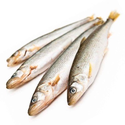 Ряпушка св/м